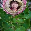 thanh.kim4631