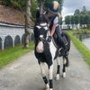 tiril_her2