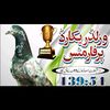 user9278205412350