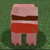 nhincaipeter06