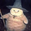 degernoyt4