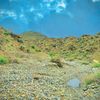 gulamhussain5332