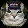 max.ohh1