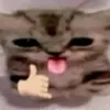 raylanpedro123
