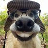 crazy_liclips