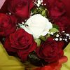 user12341234alsome2