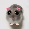 zniii95