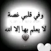 user8447524581226