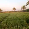 user3803146868002