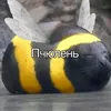 alex_tv03