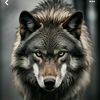 .kenan_001