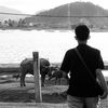irwanssyhh
