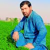 noor.muhammad6456
