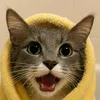 purffictpawsome