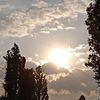 taisia.dudnic5