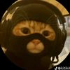 meowmeow_773