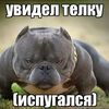 nastewexs