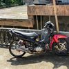 OPAK GANK