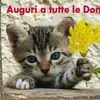 agostina.conte