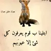 user3120117118049