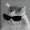 qngtrngreal