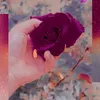 jsjsjrjrj282