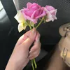 shathajasim0