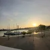 _loso_0