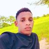 bolly.seyba