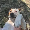 damjan_007