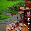 nesrine.sadek