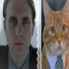 dr.zigy