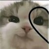 isaczzz0