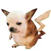 perr0._.pikachu