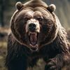 bear30307
