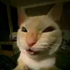 yokiandopelan