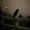 ly.junaid.gaming