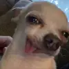 bunr vo ken