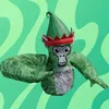 goofyvr20