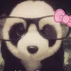 dacherry0.1