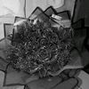 11july29