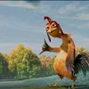 kosstya_ww