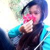 nount.nount860