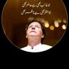 shahab.uddin353