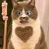 m.hng0034