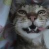 defnot_kenny3