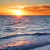 nguyn.alex53