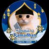 hilmiviarindah