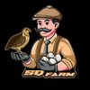 SQFARM_ | FARM PUYUH PETELUR