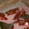 usermylife340